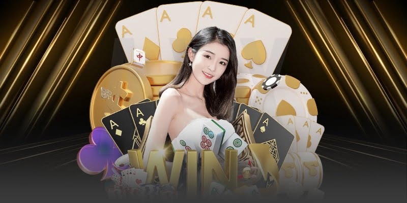 VNQ8 Cockfighting – the ultimate betting playground for enthusiasts